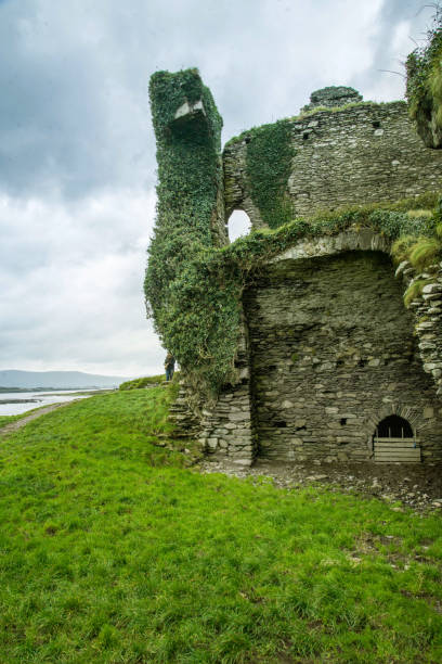 Old castle ruin made of stones and covered by ivy. Location is the Ring of Kerry in Ireland.