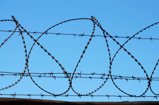 istock Barbed wire on the fence. 654703972