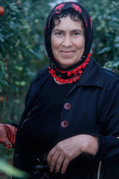 istock woman harvesting tomatoes 654706520