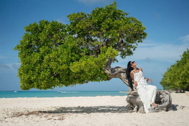 Beautiful woman relaxing sitting on a tree at the beach in Aruba - lifestyle concepts