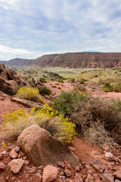 istock Arches National Park in Moab, Utah 654720882