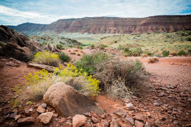 istock Arches National Park in Moab, Utah 654721178