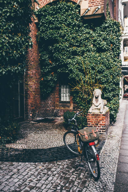 istock Greed bag and bike 654723092