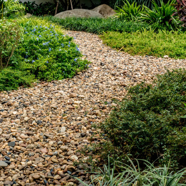 istock Part of garden 654723592