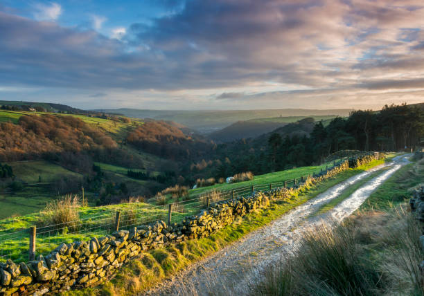 illuminazione drammatica sulla yorkshire dales valley - bridle path foto e immagini stock