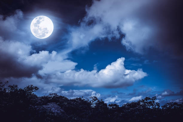istock Silhouettes of tree and nighttime sky with clouds, full moon. 654729458