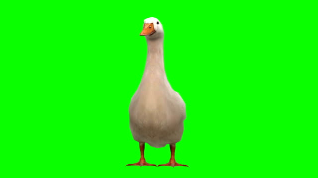 Goose Idle Green Screen (Loopable)