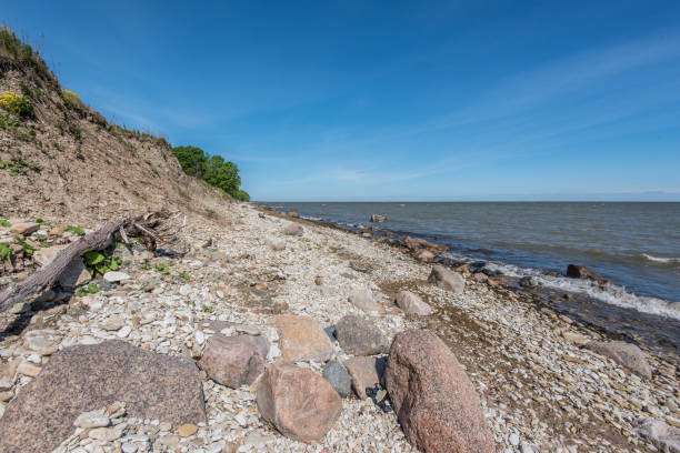 istock Baltic Sea coast in the summer 654737748