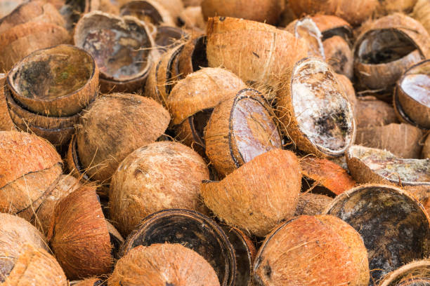 istock Pile of discarded coconut shells 654743588
