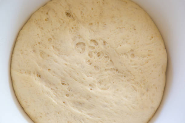 Fresh raw yeast dough in bowl stock photo