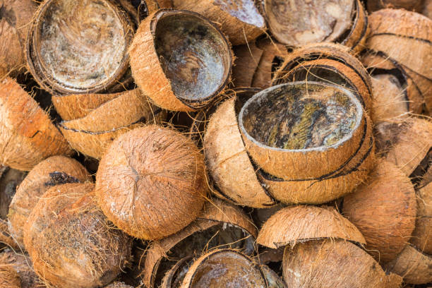 istock Pile of discarded coconut shells 654745278