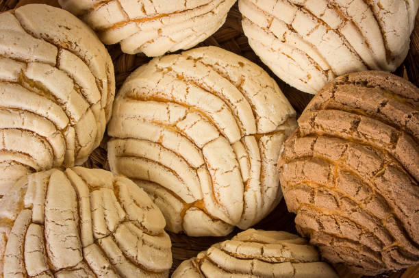 mexican conchas sweet bread - pão doce imagens e fotografias de stock