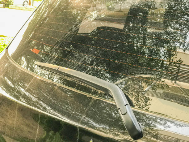 istock back windshield wiper of the car 654757226