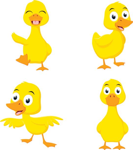 mutlu ördek çizgi film koleksiyonu kümesi - ördek su kuşu stock illustrations
