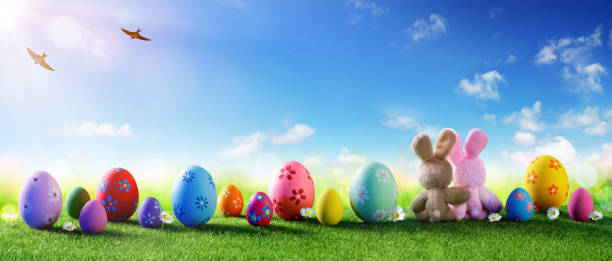 easter - colorful decorated eggs on field - easter bunny easter grass sunlight imagens e fotografias de stock
