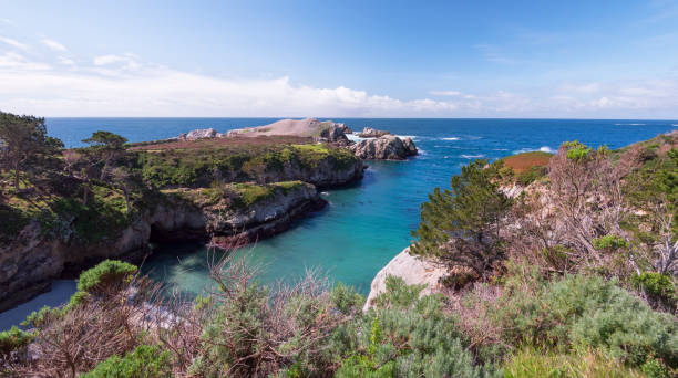 Point LobosReserve in Spring Point Lobos Reserve gives a wonderful opportunity to walk along the coast line to see the sea against the rocks, some sealife including otters. point lobos state reserve stock pictures, royalty-free photos & images