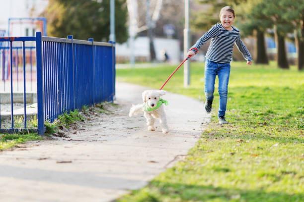 istock Girl with dog outside 654774184