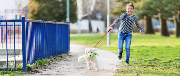 istock Girl with dog outside 654774238