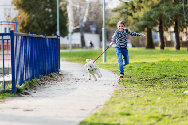 istock Girl with dog outside 654774322