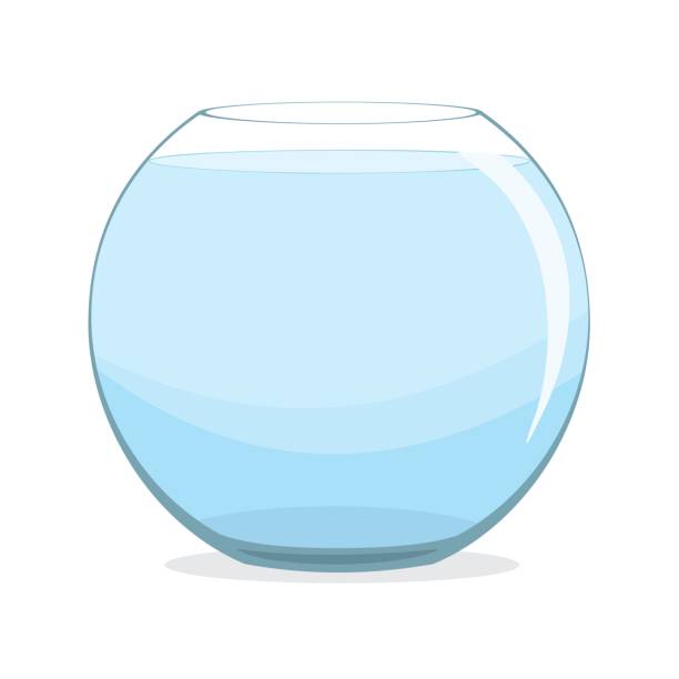 Empty fishbowl aquarium isolated Fishbowl aquarium on white background. Empty fishbowl with water. Vector illustration goldfish bowl stock illustrations