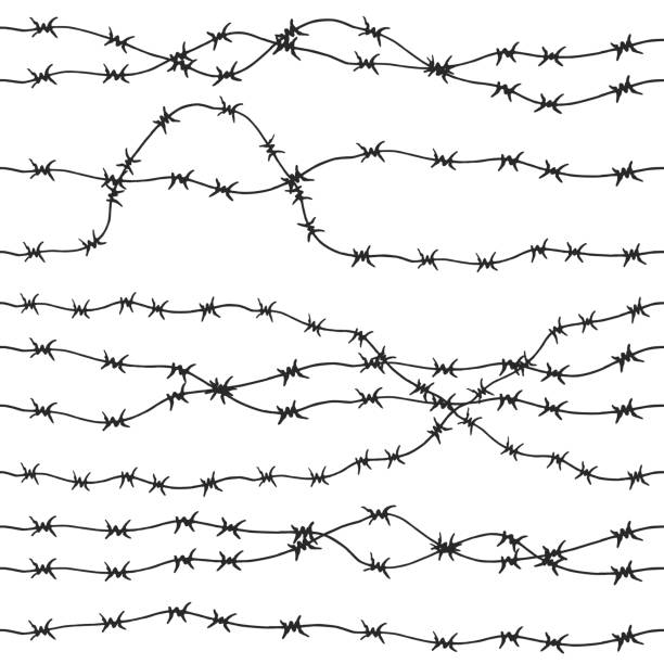 650+ Drawing Of The Barbed Wire Illustrations, Royalty-Free Vector ...