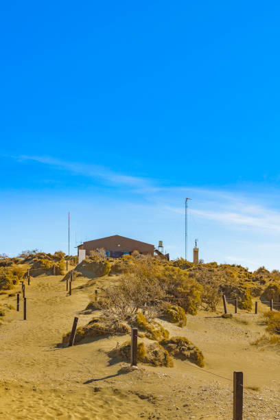istock Ecological Reseach Punta del Marquez Chubut Argentina 654781686