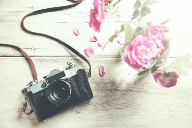 istock pink rose and  camera on wooden table 654785254