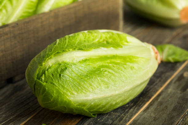istock Raw Green Organic Romaine Lettuce 654787978