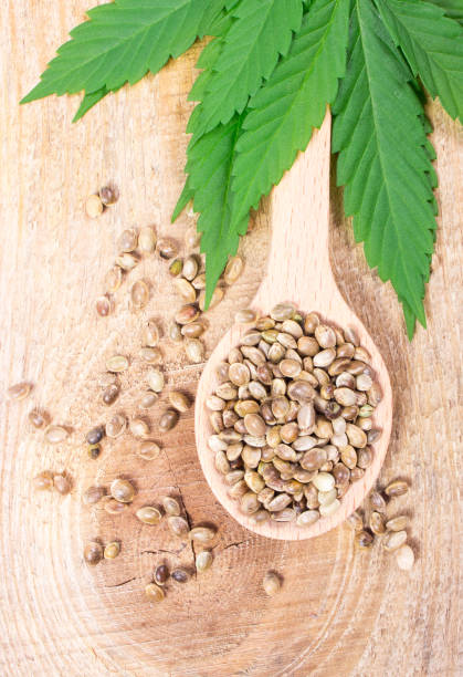 istock Cannabis leaf and seeds on wooden table. Close Up. 654788496