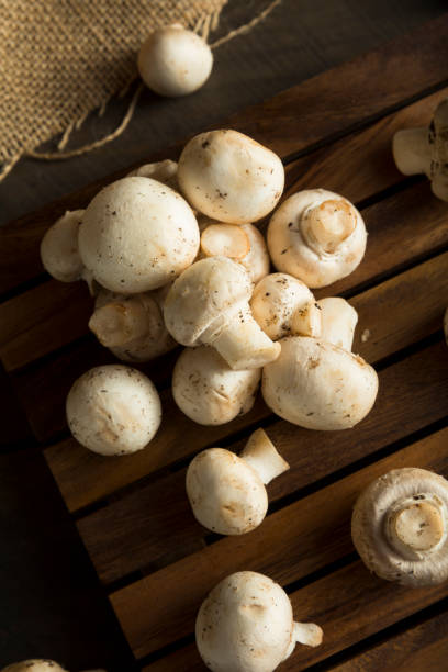 istock Raw Organic Baby Button Mushrooms 654791314