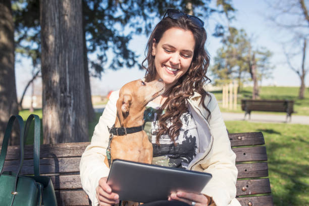 istock Young women in public park with mixed-breed dog 654791584