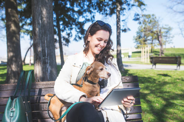 istock Young women in public park with mixed-breed dog 654791622