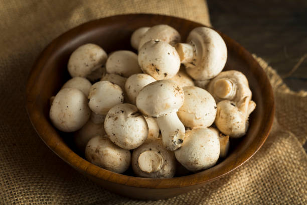 istock Raw Organic Baby Button Mushrooms 654792002