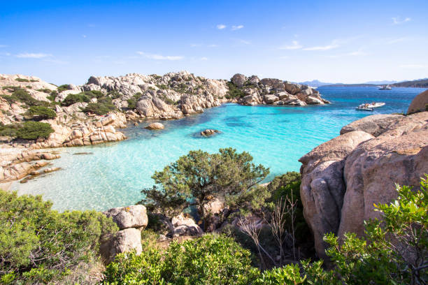 istock Beach of Cala Coticcio, Sardinia, Italy 654792466