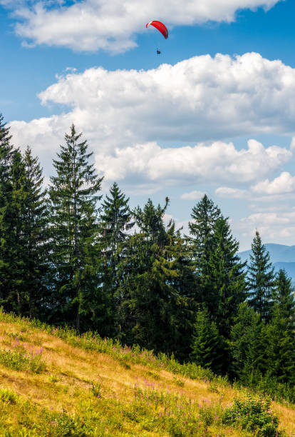 istock Skydiving extreme over the forest 654795388