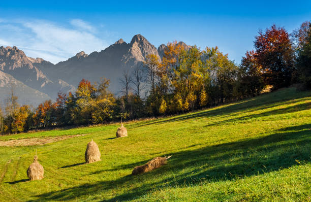 istock mountain rural area in autumn 654797794