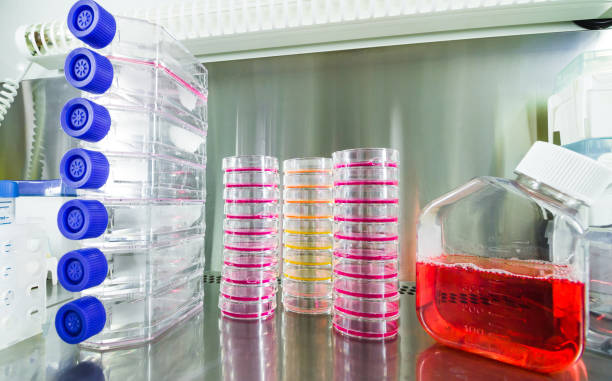 istock Cancer research equipment 654799126