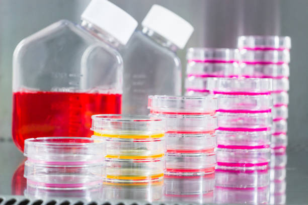 istock Cancer research equipment 654799480