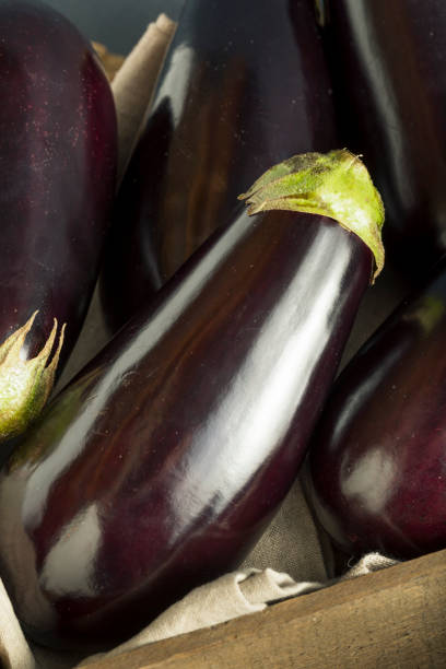 istock Raw Organic Purple Eggplant 654799526