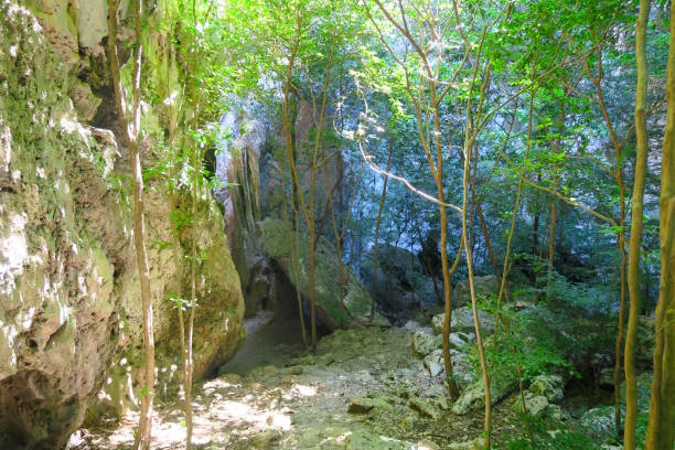 istock Rocks and trees near the Phraya Nakhon Cave 654802058
