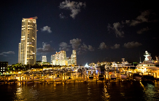 Night view of the Miami Beach marina