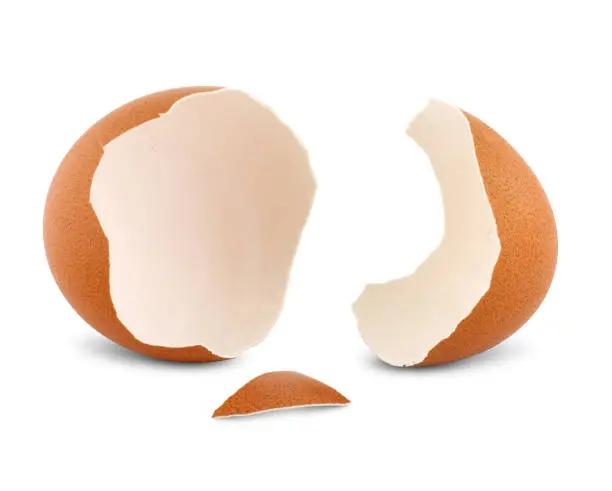 crash egg isolated on white background