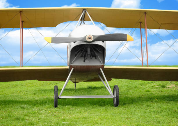 Old vintage airplane on green grass