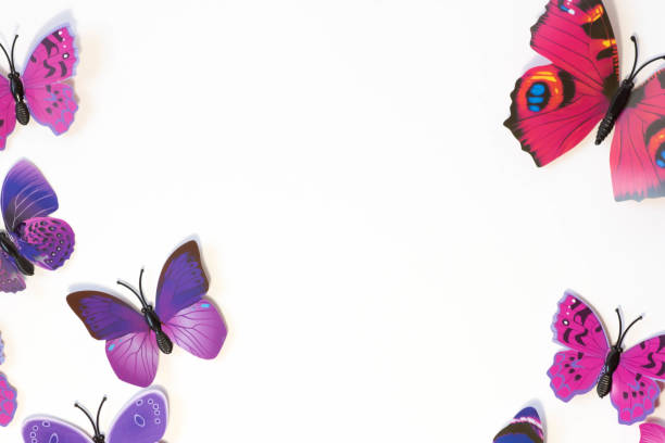 istock Pink and violet butterfly isolated on white background 654829656
