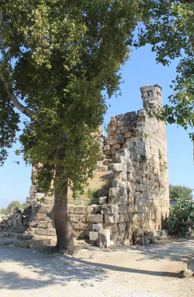 istock Ruins of the ancient city Perge 654836224