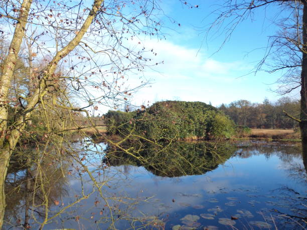 istock Beautiful lake & nature view 654839368