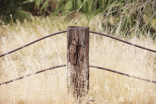 Wooden fence posts over 100 years old in rural central Montana in western USA of North America. Closest towns are 40 miles away.