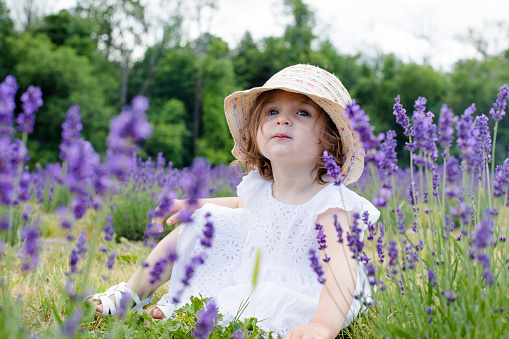 little baby girl sitting in the middle of the lavender plantation with hat and looking up