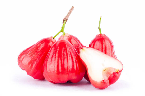 half  rose apple and   red rose apples  on white background healthy rose apple fruit food isolated half  rose apple and   red rose apples  on white background healthy rose apple fruit food isolated water apple stock pictures, royalty-free photos & images