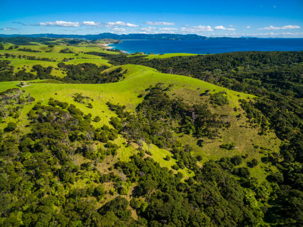 istock Tawharanui Regional Park 654862894